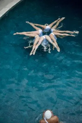 Aqualillies - название этой фотографии 2017 года