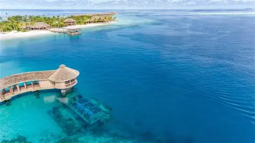 Пять ДИЗАЙНЕРСКИХ РЕСТОРАНОВ, в которых можно отпраздновать ДЕНЬ ВАЛЕНТИНА