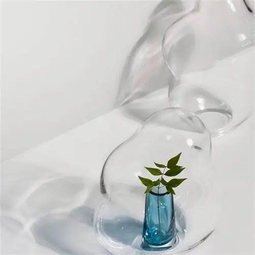 BUBBLE FLOWERS коллекция стеклянных ваз от YUHSIEN