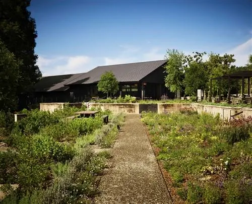 ГУРМАНЫ среди CALIFORNIA VINEYARDS