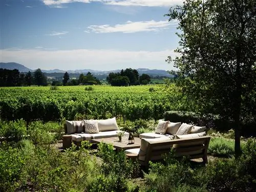 ГУРМАНЫ среди CALIFORNIA VINEYARDS