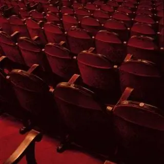 «Гонсало много ходил в кино. Он поглощал фильмы из мрака своей жизни в тусклом свете гостиной, наслаждаясь…