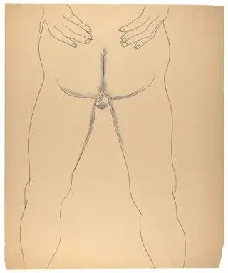 Мужской обнаженный торс стоит сзади 1950-х годов