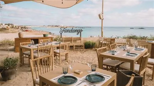 Местные ремесленники и устойчивое развитие формируют FANDANGO на Форментере