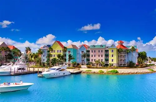 Хотите поехать на Багамы на два месяца по ALL INCLUSIVE?