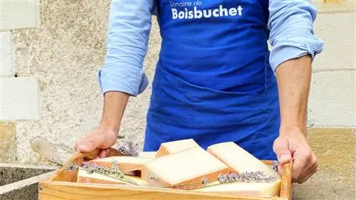 РЕЦЕПТЫ С ДИЗАЙНОМ Адриан Сальвадор в Domaine de Boisbuchet