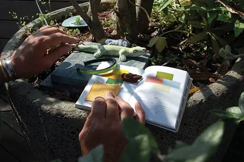 Джулио Ридольфо рассказывает нам эксклюзивно о своем восприятии работы в книге Андреу Мира