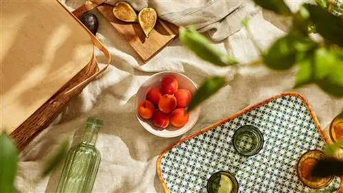 НАШИ ЛЮБИМЦЫ из тропической коллекции Zara Home
