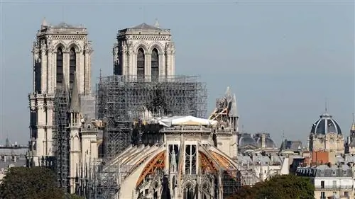 Эти недели являются ключевыми для выживания NOTRE DAME