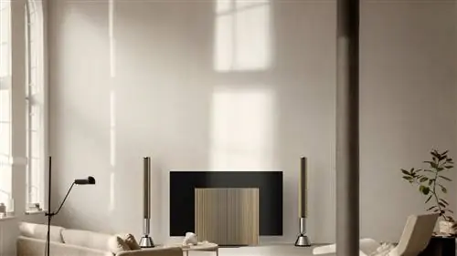 Это новые роскошные динамики от Bang & Olufsen (которые вам обязательно понадобятся в вашем доме)