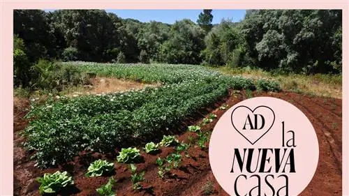 ПЕРМАКУЛЬТУРА, или как сохранить экологический САД с минимальными усилиями