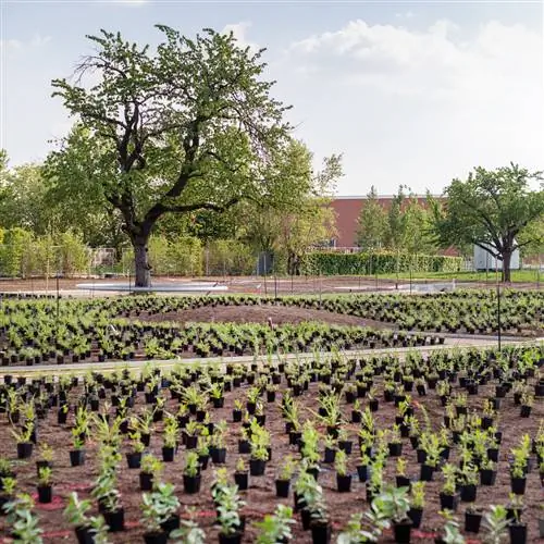 VITRA дебютирует в LANDSCAPING с изданием в своем кампусе в Вайль-на-Рейне