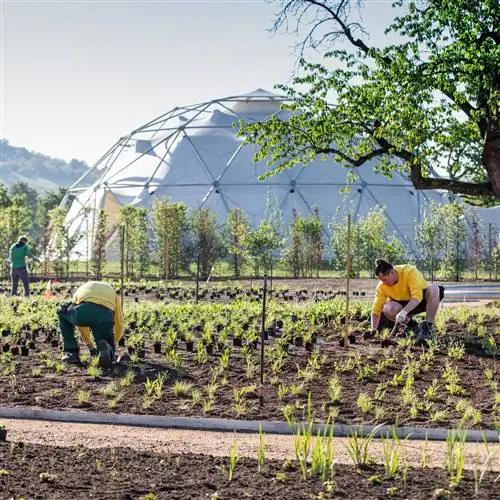 VITRA дебютирует в LANDSCAPING с изданием в своем кампусе в Вайль-на-Рейне