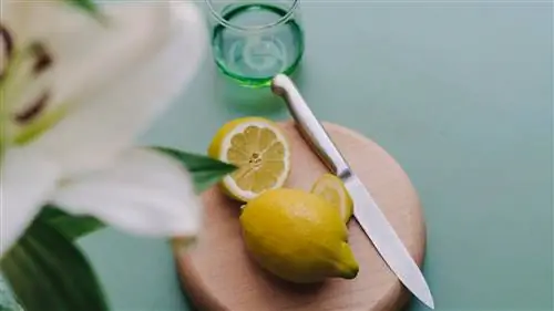Круглая разделочная доска из бука, изготовленная из древесины бука, является одним из дизайнов, принадлежащих каталогу Curated By…
