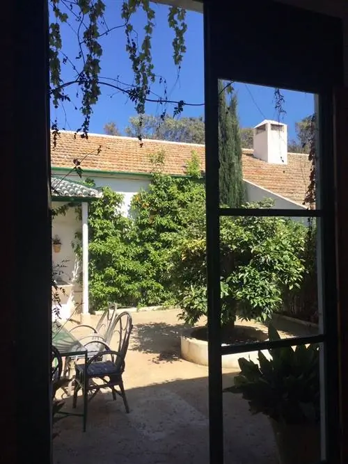 Таланты AD Пепе Кампос куратор Bodegas Campos de Córdoba и защитник испанского сада Таланты AD Пепе Кампос куратор Bodegas Campos de Córdoba и защитник испанского сада