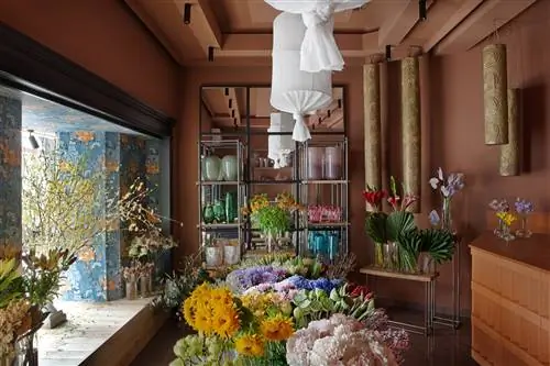 Цветочный магазин Карлос де Тройя