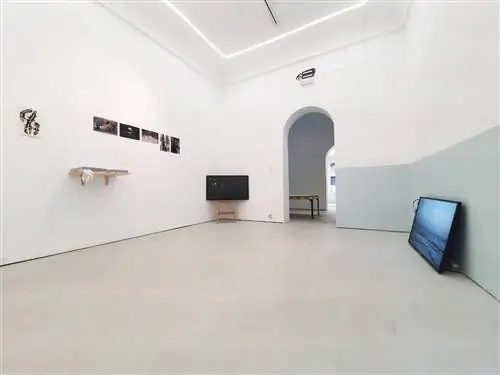 Слуховая галерея