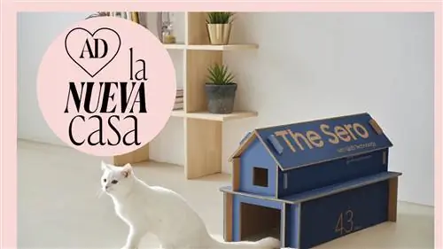Типичная керамика из Тотаны