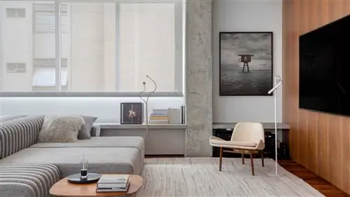 Дом в БРАЗИЛИИ, вращающийся вокруг ИСКУССТВА