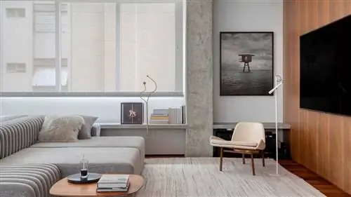 Дом в БРАЗИЛИИ, вращающийся вокруг ИСКУССТВА