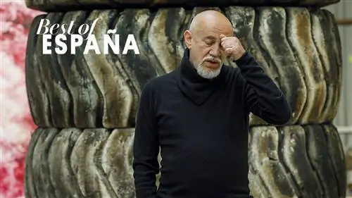 Концептуальное ИСКУССТВО КАРЛОСА ЛЕОНА, «Лучшее в Испании»