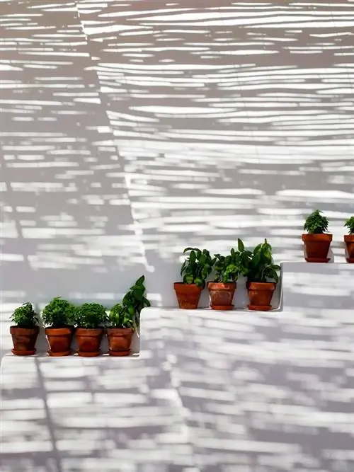 ТОРРАЛБЕНК Когда остров молчит, а КАМЕНЬ говорит