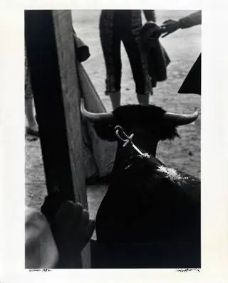 Роберт Франк, Испания, 1952. Per Amor a lArt Collection