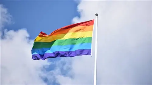 Руководство по флагам LGTBIQ+: кто их разработал и что они означают
