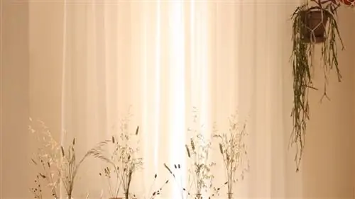 Все фотографии стола в L'Intrépide Studio