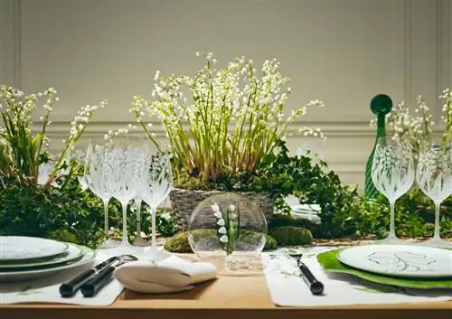 С подиума на стол HAUTE COUTURE TABLEWARE