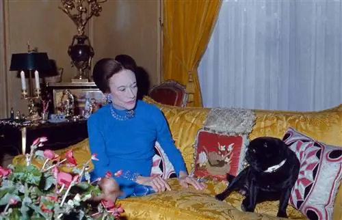 Исторические фото виллы Виндзор особняк знаменитой пары