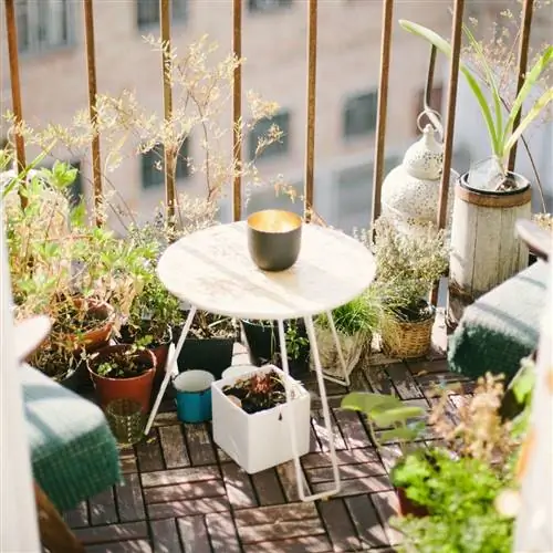 изображение небольшого балкона с растениями и не очень большого круглого стола