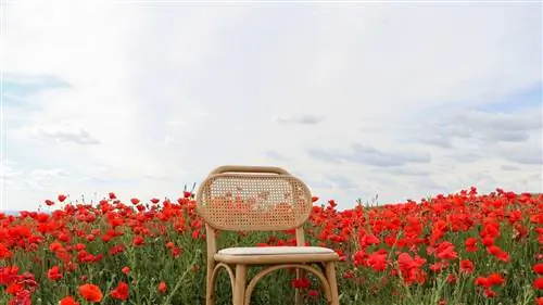 Что такое кресло, как «ДОРИАН», делает в таком месте, как это
