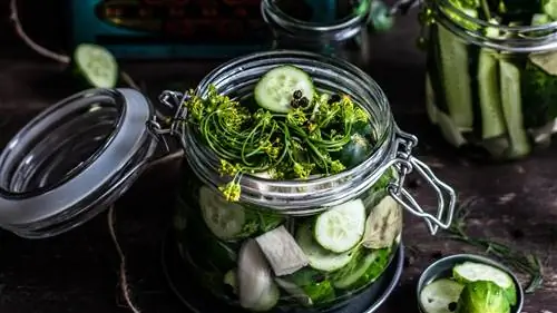 ШЕСТЬ кухонных принадлежностей для достижения цели ЗДОРОВОЕ ПИТАНИЕ