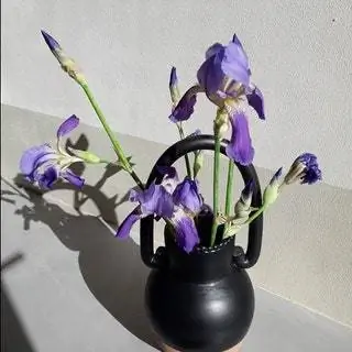Cruciu Vase от Сэма Бэрона и Уолтера Усаи