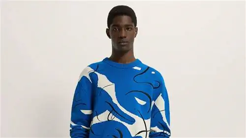 Воображаемый мир Хайме Айона в коллекции мужской одежды Zara