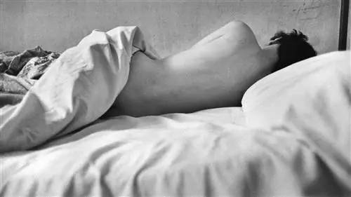 Рен Грёбли "L'Oeil de L'Amour", 1952 год