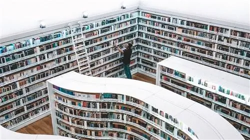 Благодаря этим ПЛАТФОРМАМ для чтения у вас всегда будут новые КНИГИ дома