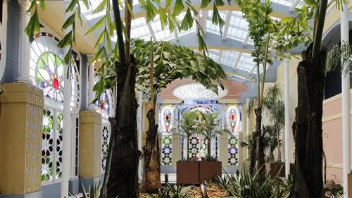 Экзотическое очарование оранжереи Villa Torlonia