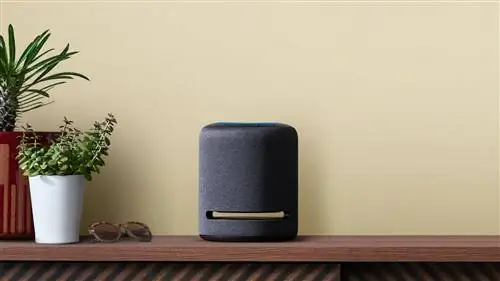 Насколько хорошо вы знаете ALEXA?: Голосовой помощник AMAZON находится на рассмотрении