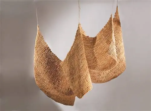 Ens Social автора Аурелия Муньос