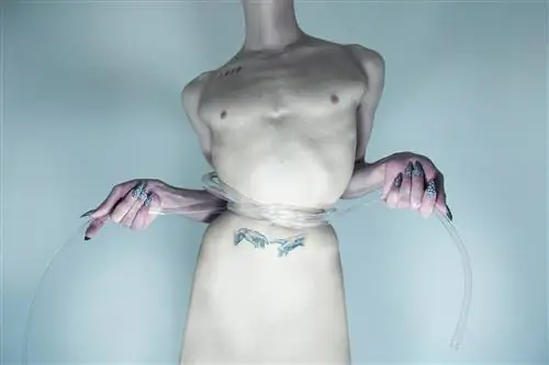 Сикстинские часы