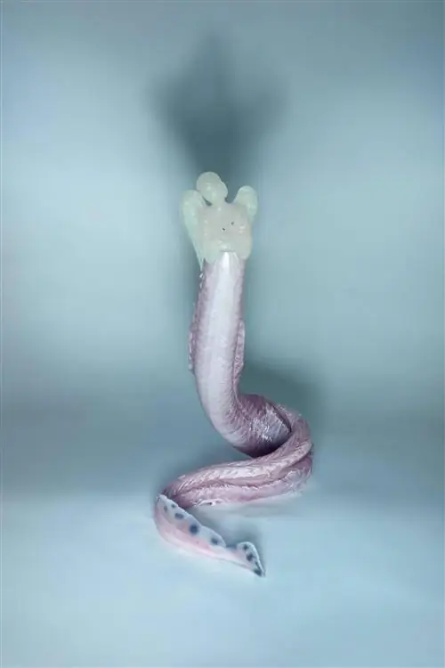 Церковь имени Твоего