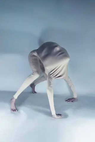 Амфибийная мечта