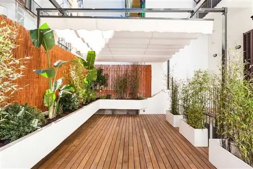 Глоток свежего воздуха