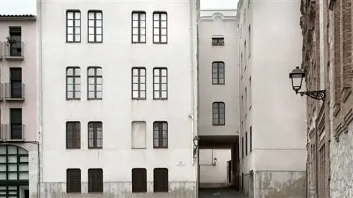 Ана Тереза Ортега, Национальная премия в области фотографии