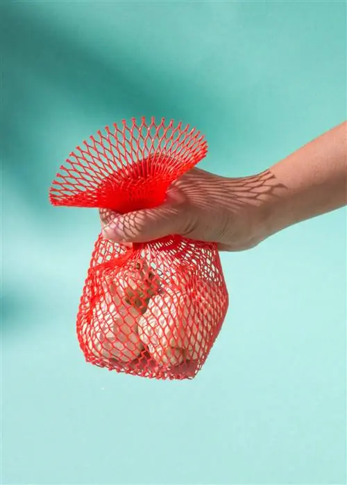 Сара Регал, дизайнер из Галисии, которая путешествовала от оливковой рощи на Майорке до главных ярмарок мира