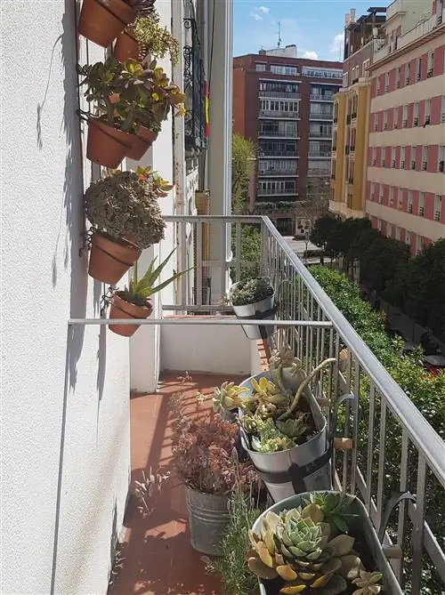 День 31 ADEnCasa Фотосинтез на балконе День 31 ADEnCasa Фотосинтез на балконе