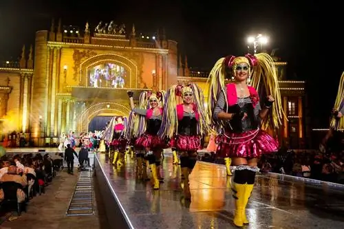 Лучшие АРХИТЕКТУРНЫЕ ПАРАМЕТРЫ карнавала в Лас-Пальмас