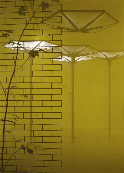 «Пробуждение» 2020. Инсталляция в «La Casa Encendida», где она началась с «Pabellón de los Hexgonos»